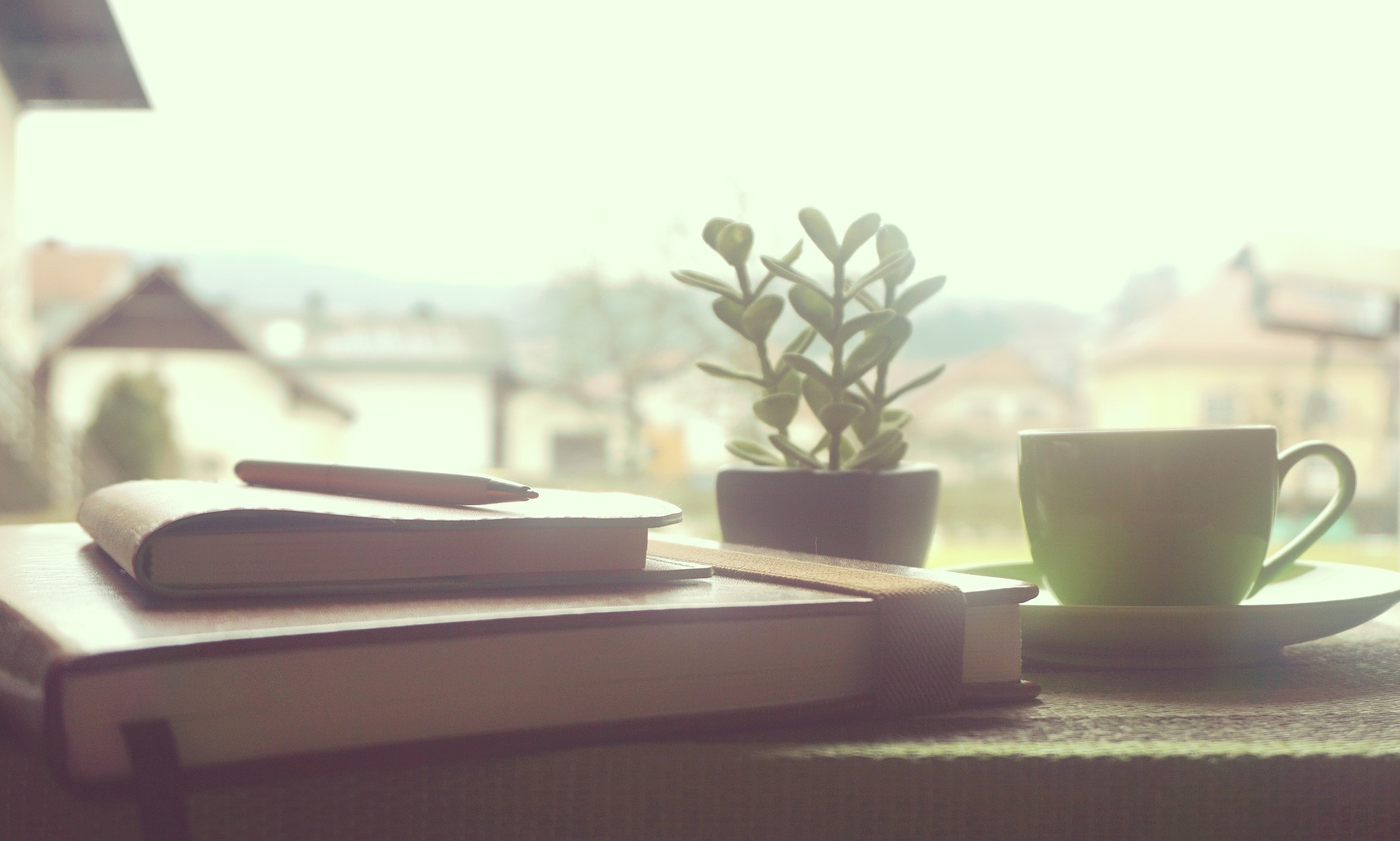 Plant, notebook, and coffee cup on a desk with a cityscape background
